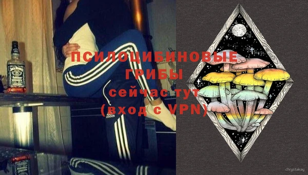 альфа пвп Медвежьегорск