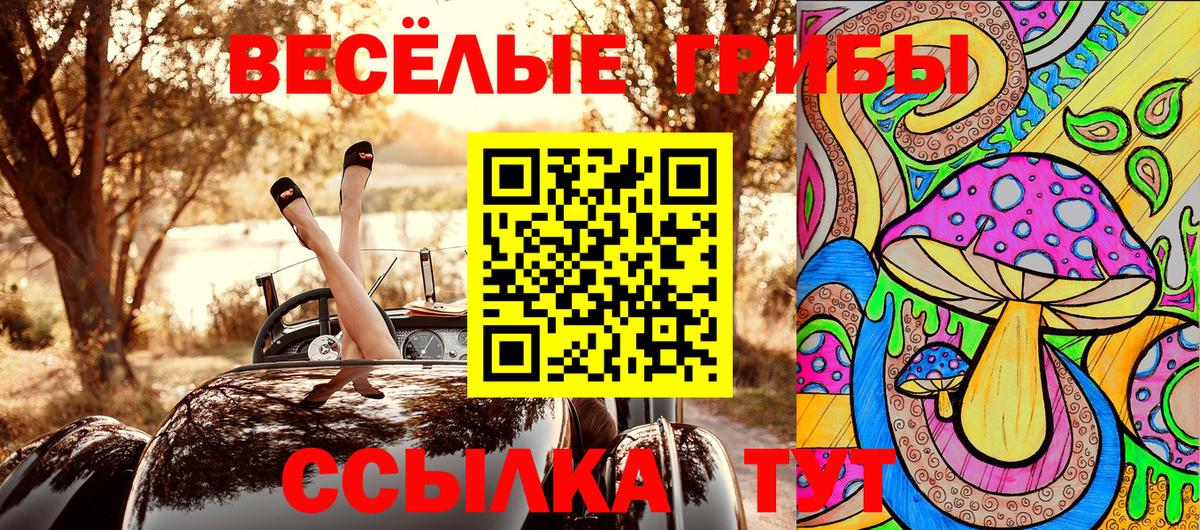 Псилоцибиновые грибы GOLDEN TEACHER  Вход с VPN  дарнет шоп  Комсомольск-на-Амуре 