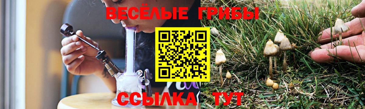 Галлюциногенные грибы GOLDEN TEACHER Комсомольск-на-Амуре